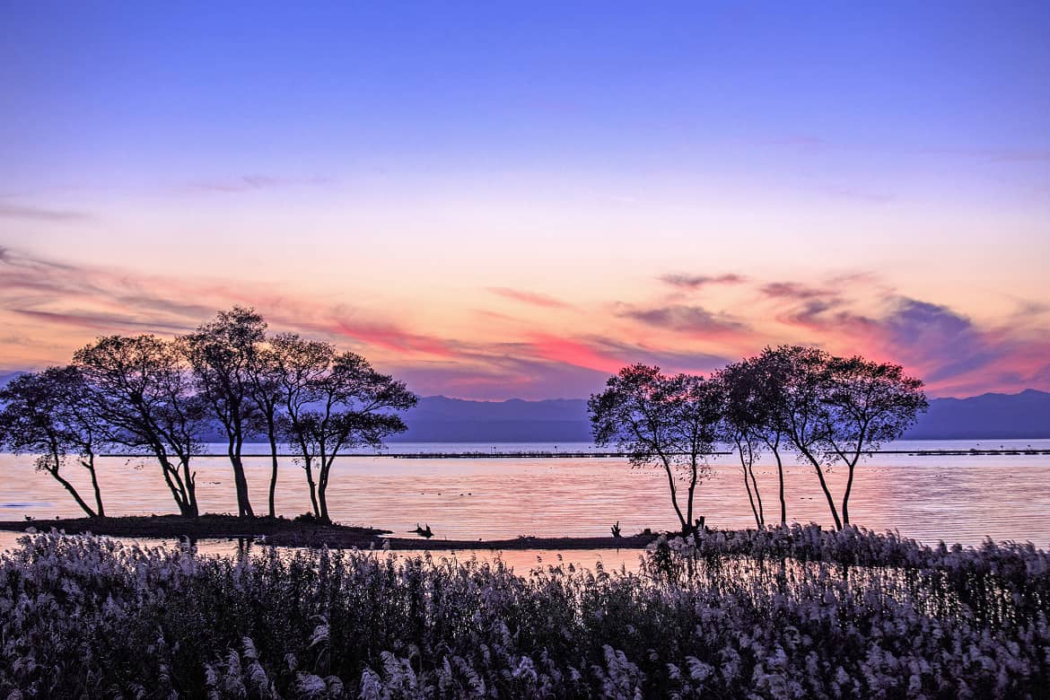 びわ湖が見える「西部エリア」