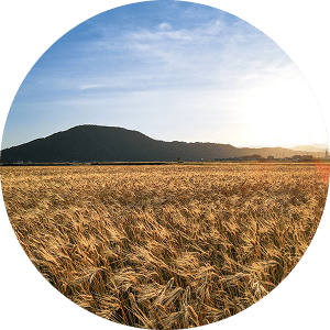 自然の囲まれた豊かな住生活