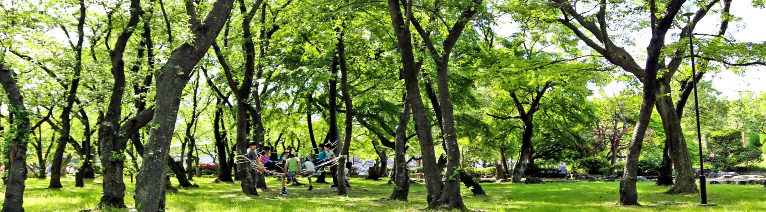 プライバシーポリシー