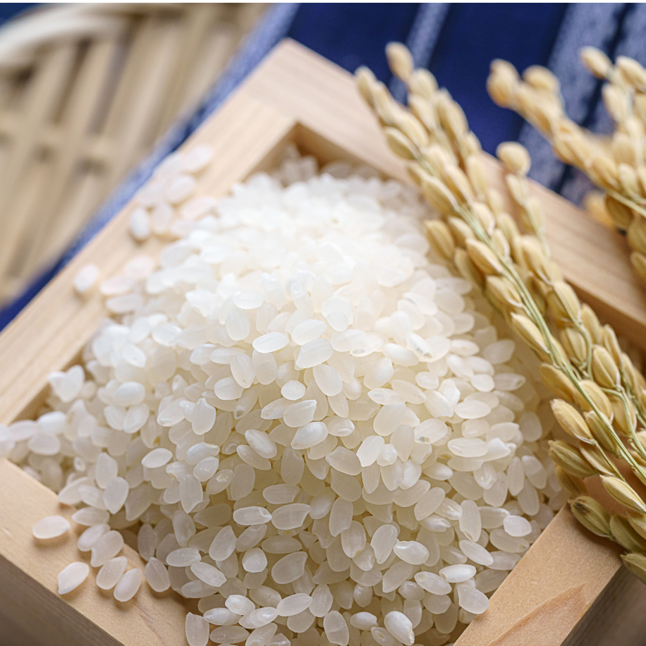 返礼品イメージ